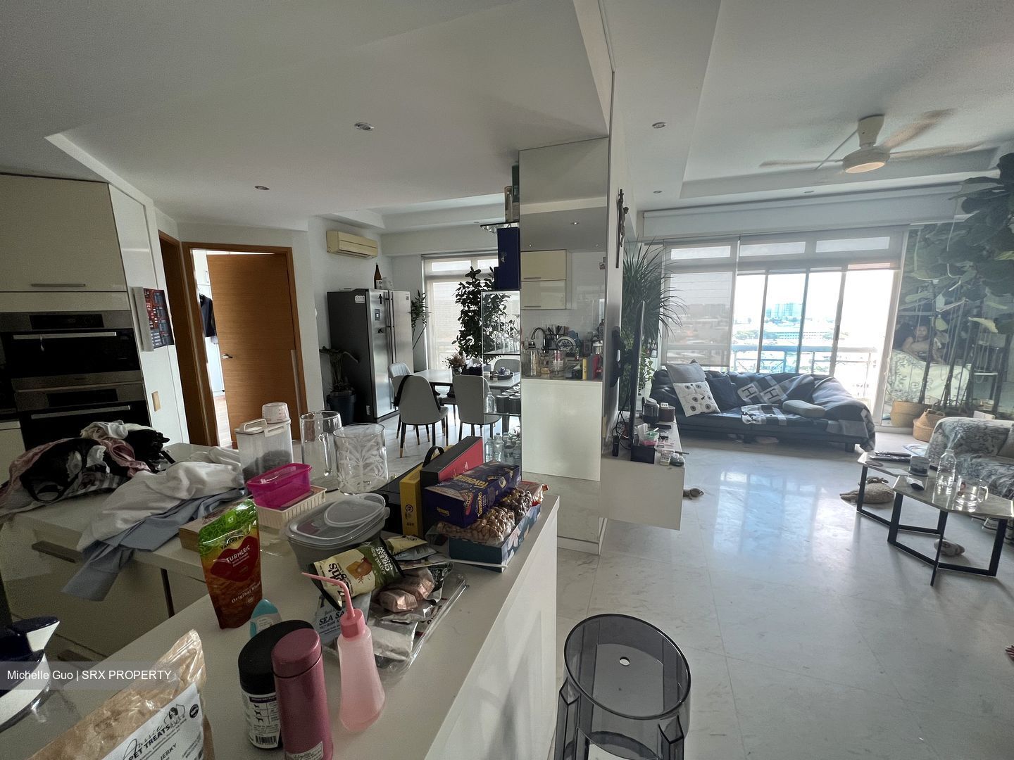 Santa Fe Mansions (D15), Apartment #412573971